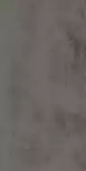 610010002741 Астро Блэк 60x120